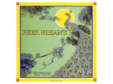 Peak Frean's Impressão giclée premium