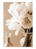 Tulips in Sepia Premium Giclee-trykk av Christine Zalewski Tulips in Sepia Premium Giclee-trykk av Christine Zalewski