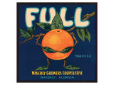 Full Oranges Giclee Print