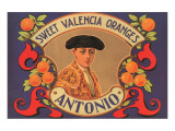 Antonio Sweet Valencia Oranges Giclee Print