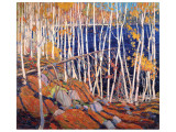 In the North Land Wydruk giclee premium autor Tom Thomson In the North Land Wydruk giclee premium autor Tom Thomson