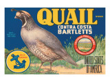 Quail Brand Contra Costa Bartletts Giclee Print