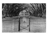 Oak Alley Plantation, Louisiana Giclee-tryk i høj kvalitet Oak Alley Plantation, Louisiana Giclee-tryk i høj kvalitet