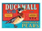 Duckwall D-B Brand Hood River Pears Giclee Print