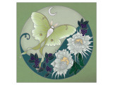 Dreaming New Dreams II Premium Giclee Print by Sybil Shane