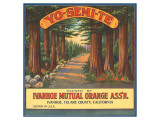 Yo-Se-Mite Oranges Giclee Print