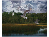 Gullage Light I Lámina giclée por Steve Hunziker Gullage Light I Lámina giclée por Steve Hunziker