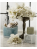Serene Gardenia Premium Giclee Print by Dan Magus