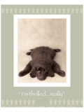 J'ai peur… si si reproduction procédé giclée par Rachael Hale