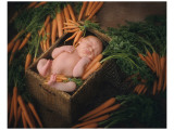 Carrot Top Giclee Print by Linda Johnson