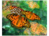 Orange Butterfly Fantasy II Premium Giclee-trykk av Melinda Bradshaw