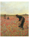 Girls in Poppy Field Giclee Print by Lawren Morris Girls in Poppy Field Giclee Print by Lawren Morris