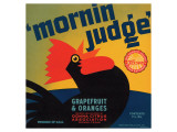 Mornin Judge Grapefruit and Oranges Giclee Print