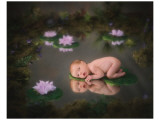 Catching Flies Lámina giclée de primera calidad por Linda Johnson Catching Flies Lámina giclée de primera calidad por Linda Johnson