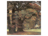 Oaks in the Park of Wechselburg Premium Giclee-trykk av Eugen Bracht