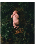 In The Beginning Lámina giclée de primera calidad por Linda Johnson In The Beginning Lámina giclée de primera calidad por Linda Johnson