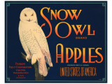 Snow Owl Brand Apples Giclee Print