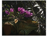 Fight Or Flight Giclee Print by Steve Hunziker