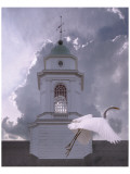 Steeple Flyby reproduction procédé giclée par Steve Hunziker