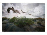 Sunset Pelicans Giclee Print by Steve Hunziker