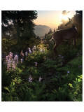 Deer Pass Giclee Print by Steve Hunziker Deer Pass Giclee Print by Steve Hunziker