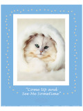 See Me Sometime Giclee Print by Rachael Hale