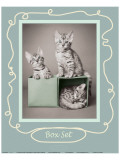 Box Set Giclee Print by Rachael Hale