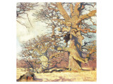 Oaks Giclee Print by Eugen Bracht