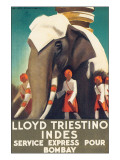 Lloyd Triestino, Indes Ensiluokkainen giclee-vedos Lloyd Triestino, Indes Ensiluokkainen giclee-vedos
