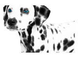 Dalmatian Date II Giclee Print