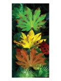 Tropical Fatsia Premium Giclee-trykk av Melinda Bradshaw