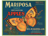 Mariposa Fancy Northwestern Apples Giclee-tryk i høj kvalitet Mariposa Fancy Northwestern Apples Giclee-tryk i høj kvalitet