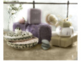 Luscious Lavenders Giclee Print by Dan Magus