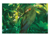 Hidden Green Giclee Print by Steve Hunziker