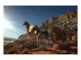 Evening Splendor Premium Giclee Print by Steve Hunziker