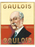 Gaulois Giclee Print