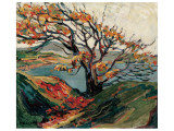 Baum im Herbst Giclée-Premiumdruck von Emily Carr