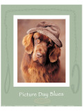 Picture Day Blues reproduction procédé giclée par Rachael Hale
