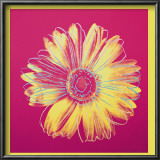 Daisy, c.1982 (Fuschia and Yellow) Prints by Andy Warhol