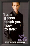 How I Met Your Mother Poster