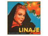 Linaje Valencia Oranges Giclee Print