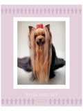 Style and Set reproduction procédé giclée par Rachael Hale
