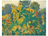 Sunflowers, Thornhill reproduction procédé giclée par J. E. H. MacDonald