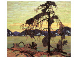 The Jack Pine Giclee Print by Tom Thomson