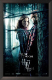 Harry Potter and The Deathly Hallows Part 1 - Ron and Hermoine Posters