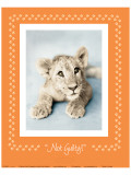 Not Guilty Giclee Print by Rachael Hale