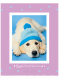 I Need a New Hairdresser reproduction procédé giclée par Rachael Hale