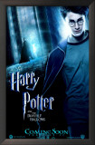Harry Potter and The Deathly Hallows Part 1 Prints Harry Potter and The Deathly Hallows Part 1 Prints