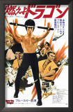 Enter the Dragon Art