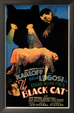The Black Cat Art